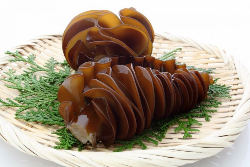 Fucoidan - Bí Quyết Phòng Ngừa Ung Thư Của Người Nhật