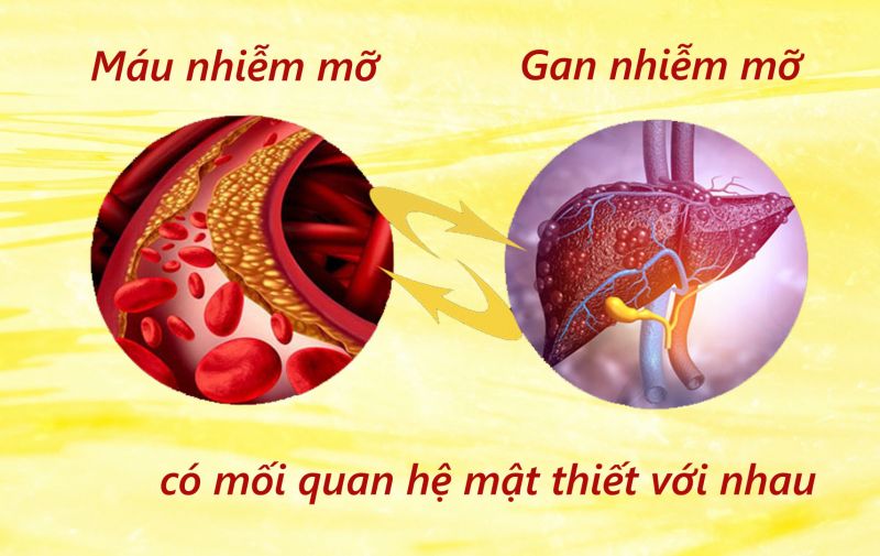 Dấu hiệu gan nhiễm độc