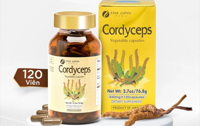 Fine Japan Cordyceps