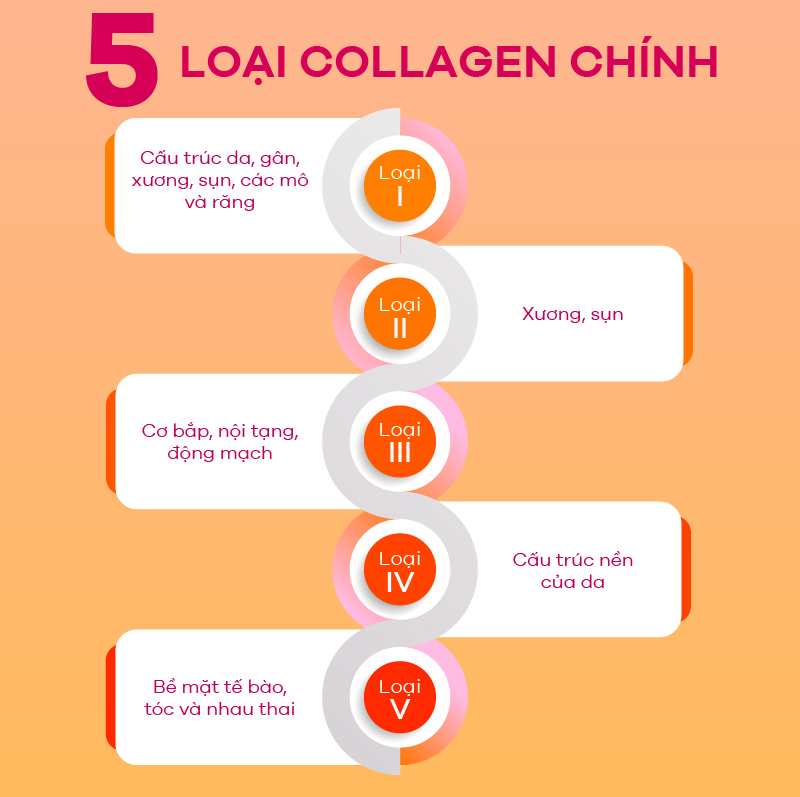 Collagen được phân loại theo mục đích sử dụng