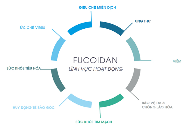 Fucoidan có nhiều tác dụng đối với sức khỏe dành cho người khỏe mạnh phòng ngừa ung thư