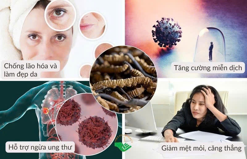 Đông trùng hạ thảo giúp cân bằng nội tiết tố và hỗ trợ phát triển sức khỏe trong giai đoạn dậy thì