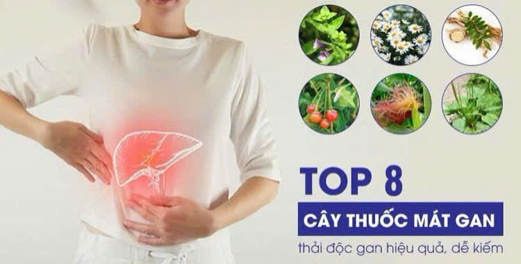 Nên sử dụng cây thuốc nam đúng chỉ định từ các chuyên gia y tế