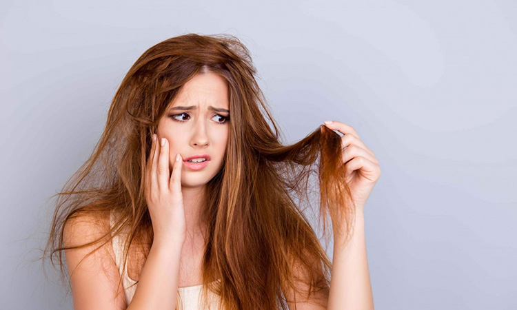 Nguyên nhân khiến tóc khô xơ và chẻ ngọn có thể do cách chăm sóc tóc không đúng cách