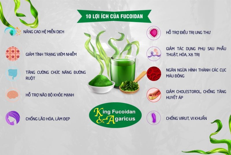 Fucoidan phòng ngừa ung thư và nâng cao sức khỏe tổng thể