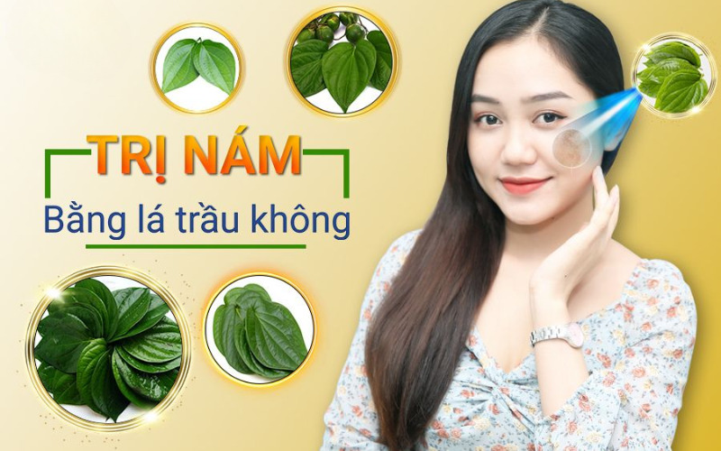 trị nám bằng lá trầu không