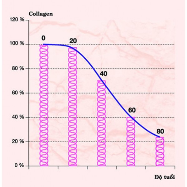 Uống collagen phù hợp với độ tuổi giúp phát huy hiệu quả tối đa