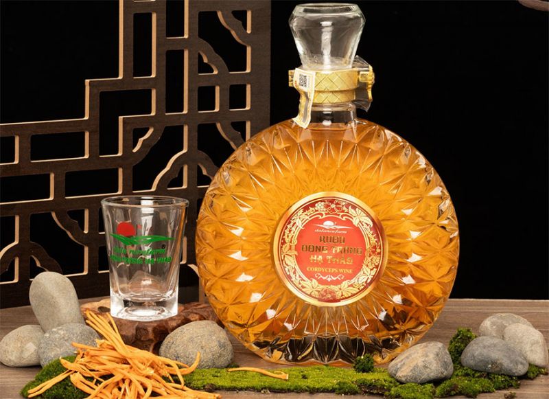 Rượu đông trùng hạ thảo chỉ nên sử dụng với liều lượng từ 10-15ml