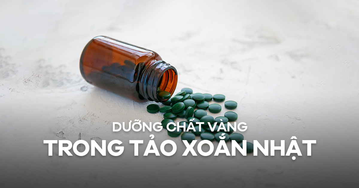 Thành phần dinh dưỡng có trong tảo xoắn Spirulina Nhật Bản