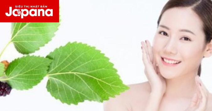 Uống nước lá dâu tằm trị nám có hiệu quả không