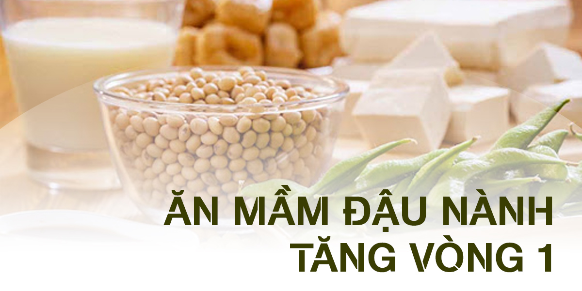 [GIẢI ĐÁP] Ăn mầm đậu nành tăng vòng 1 có tốt không?