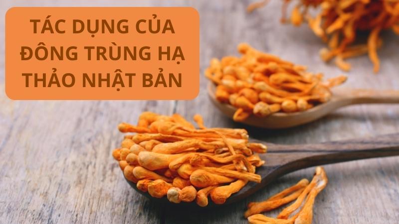 Tác Dụng Của Đông Trùng Hạ Thảo Là Gì? Lưu Ý Khi Sử Dụng