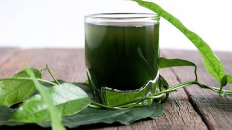 Bị u xơ uống tảo biển được không?