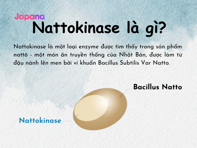 Tác dụng của thành phần Nattokinase 40.000 FU