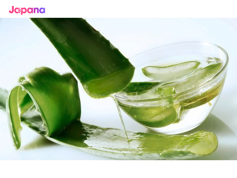 Sử dụng lô hội giúp điều trị rạn da, tăng cường độ ẩm cho da