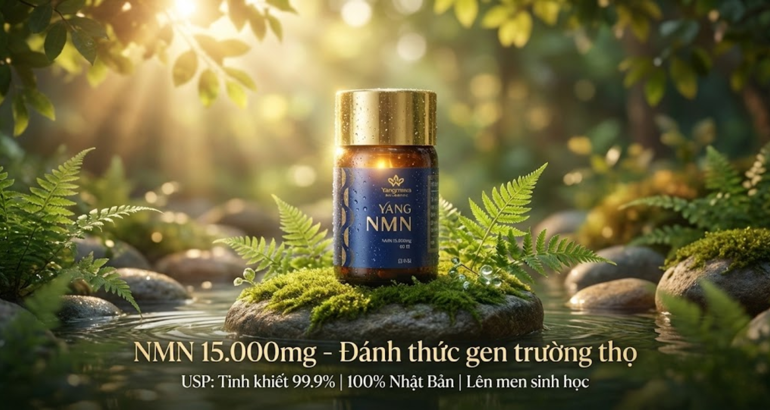 Đảo ngược lão hóa da - Trẻ hóa từ bên trong