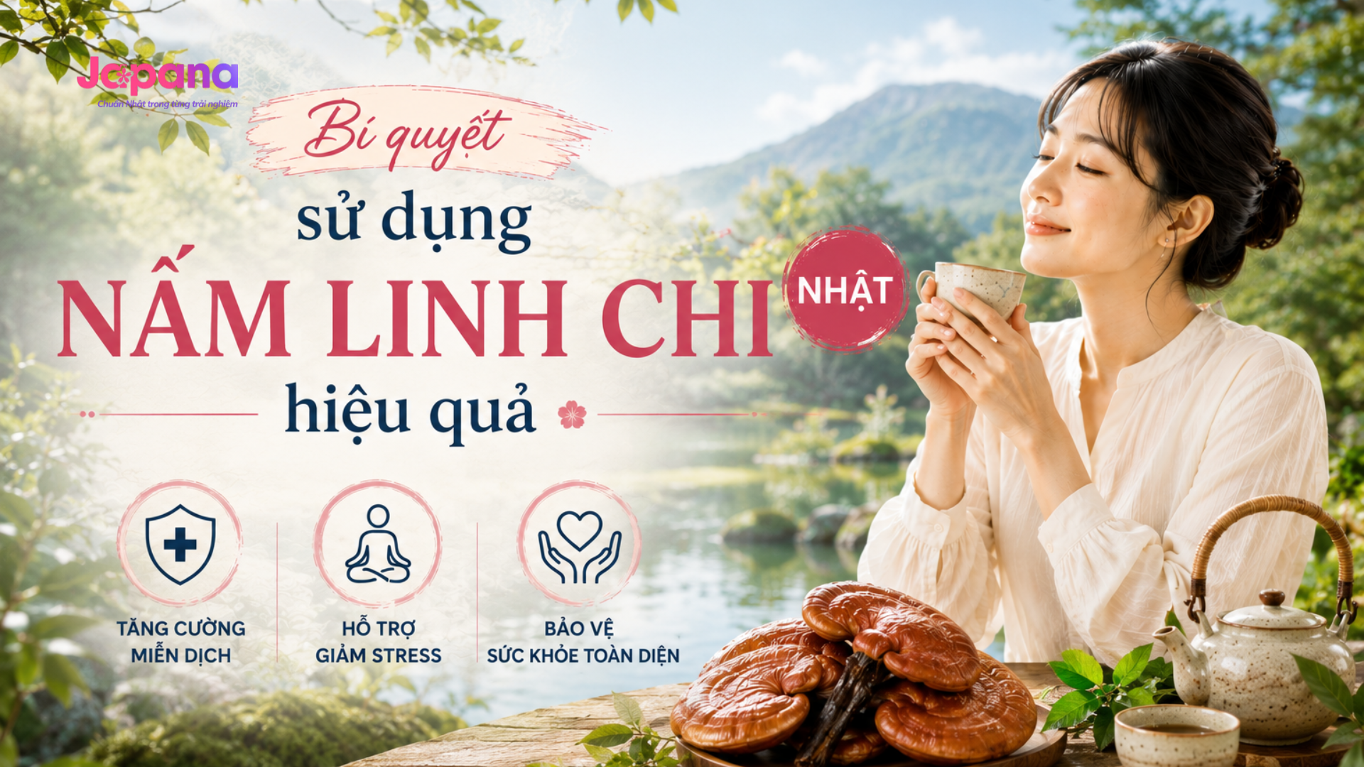 Bí quyết sử dụng nấm linh chi Nhật hiệu quả