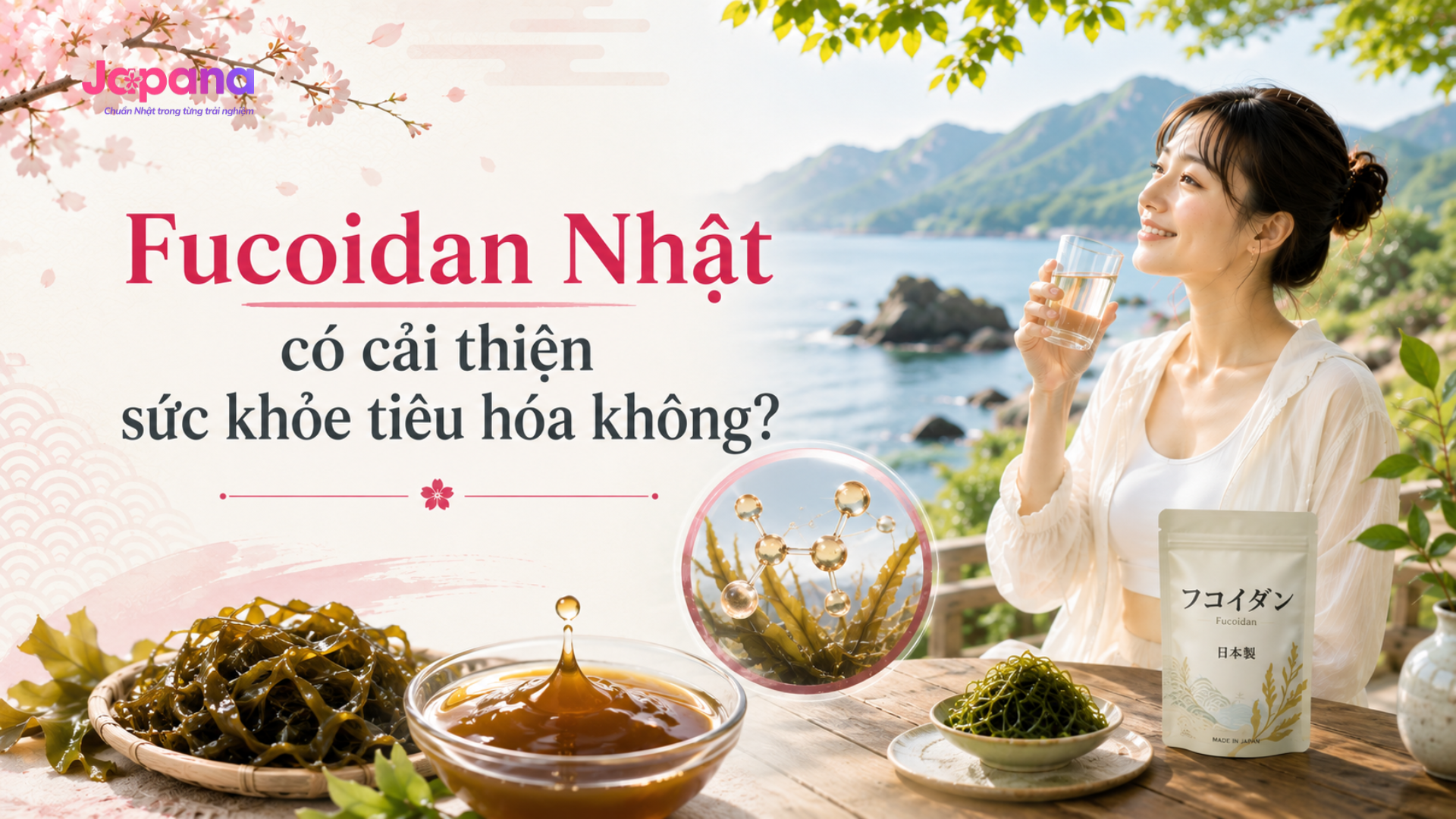 fucoidan cải thiện sức khỏe