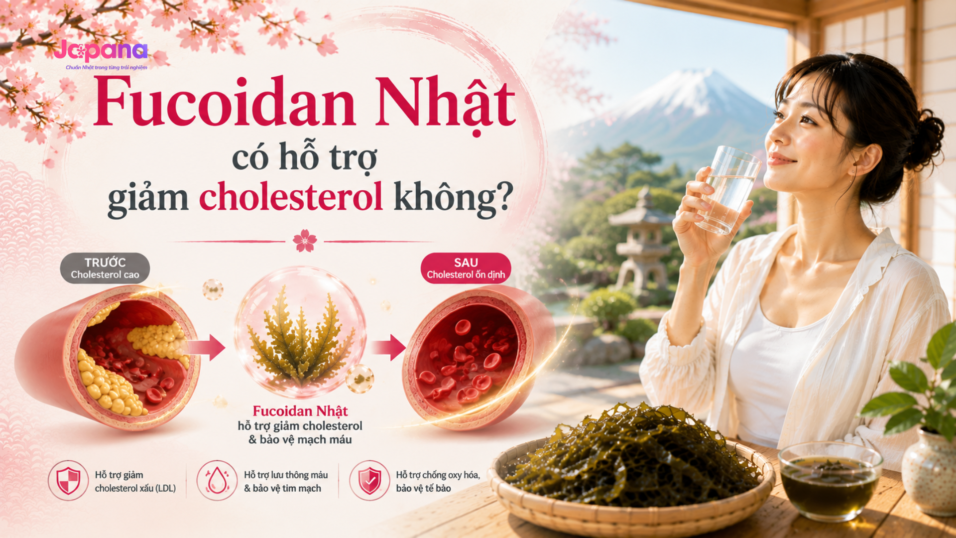 Fucoidan Nhật có hỗ trợ giảm cholesterol không?