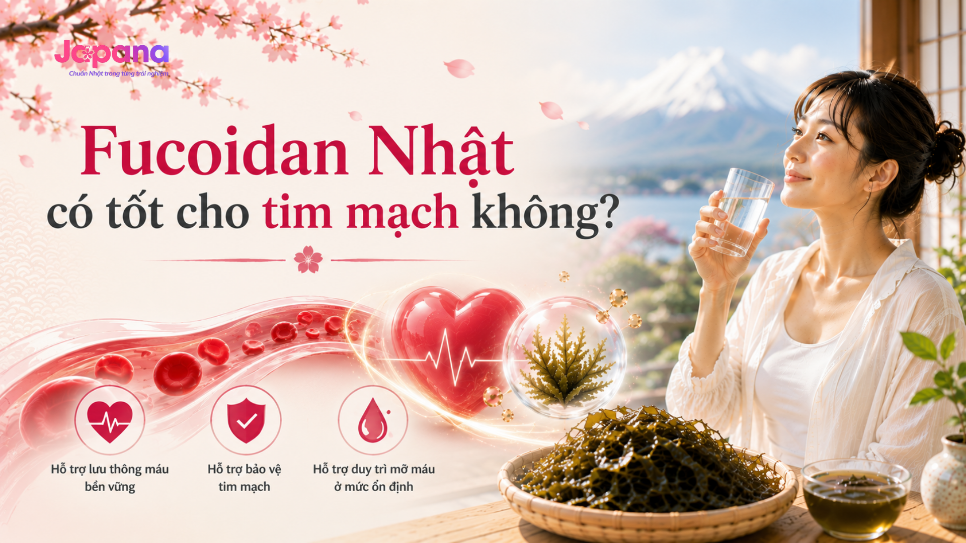 fucoidan nhật có tốt cho tim mạch