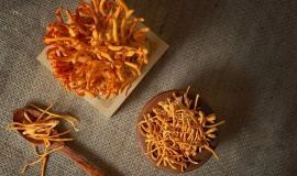 6 tác dụng của đông trùng hạ thảo với người già, cách dùng