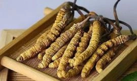 7 tác dụng của đông trùng hạ thảo với phụ nữ