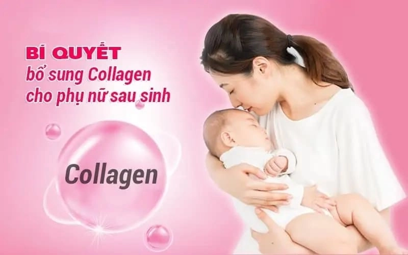 Nên Lựa Chọn Collagen Nào Dành Cho Mẹ Cho Con Bú ? 