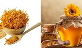 Ngâm Đông Trùng Hạ Thảo Với Mật Ong Có Công Dụng Gì?