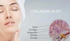 5 Cách tái tạo collagen cho da mặt, bí quyết trẻ hóa làn da