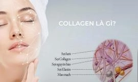 Uống collagen có tác dụng gì cho phụ nữ? 6 Công dụng nổi bật