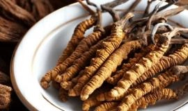 Trẻ em có nên dùng đông trùng hạ thảo không? 