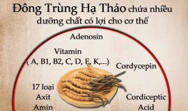 [Giải đáp] có nên uống đông trùng hạ thảo thường xuyên không? 