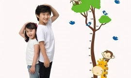 7 Cách Tăng Chiều Cao Ở Tuổi 13 Hiệu Quả & Khoa Học Nhất