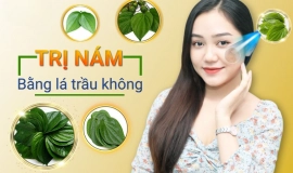 Cách trị nám bằng lá trầu không hiệu quả [Hướng dẫn chi tiết]