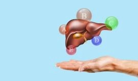 Các chức năng của gan là gì? Chức năng nào quan trọng nhất?