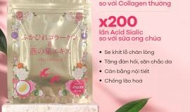 Collagen Tươi Nhật Bản Chiết Xuất Từ Tổ Yến Có Tác Dụng Gì