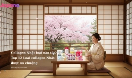 Collagen Nhật loại nào tốt? Top 12 Loại collagne Nhật được ưa chuộng