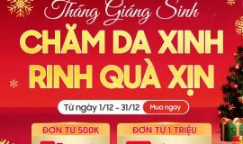 DEAL NOEL 2025: Collagen Nhật Bản Giá Hời – Freeship & Voucher Tại Japana