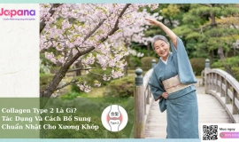 Collagen Type 2: Giải pháp tái tạo sụn khớp và bí quyết từ Nhật Bản