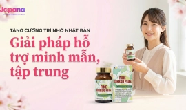 Tăng cường trí nhớ Nhật Bản: Giải pháp hỗ trợ minh mẫn, tập trung hiệu quả