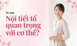 Nội tiết tố là gì? Vai trò của nội tiết tố đối với sức khỏe nam và nữ