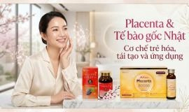 Placenta & Tế bào gốc Nhật: Cơ chế trẻ hóa, tái tạo và ứng dụng trong làm đẹp
