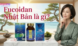 Fucoidan Nhật Bản: Nguồn gốc & công dụng