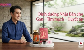 Dinh dưỡng Nhật Bản cho Gan – Tim mạch – Huyết áp: Giải pháp an toàn