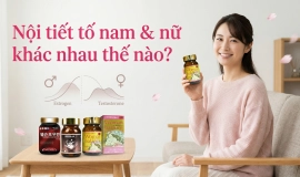 Nội Tiết Tố Nam & Nữ Khác Nhau Thế Nào? 