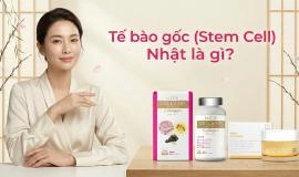 Tế bào gốc (Stem Cell) Nhật là gì? Có an toàn không?