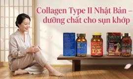 Collagen Type II Nhật Bản – Dưỡng chất thiết yếu cho sụn khớp