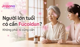 Người lớn tuổi có nên dùng Fucoidan không?