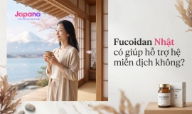 Fucoidan Nhật Có Giúp Hỗ Trợ Hệ Miễn Dịch Không?