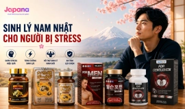 Sinh Lý Nam Nhật Cho Người Bị Stress: Hiểu Đúng Trước Khi Lựa Chọn